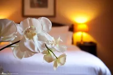 בית מלון כפרי Le Manoir De Gressy