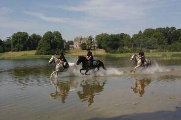 Otel Castle Leslie Estate
