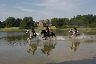 호텔 Castle Leslie Estate