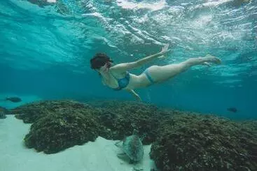 Pension Royal Stay Inn