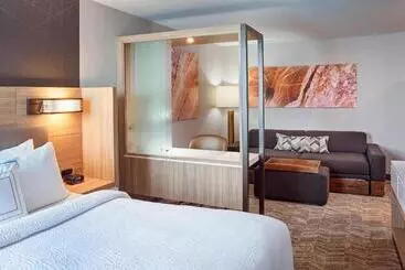 Hotelli Springhill Suites By Marriott Grand Rapids West