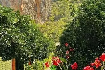 Olympos Tatilya Pansiyon