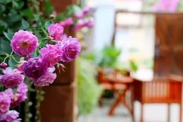 Pensione Mulan Guesthouse