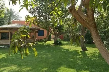 レジデンス Equestrian Guest House Pyramids Egypt