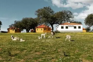 Albergue Turístico De Cornalvo