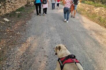 בית מלון כפרי Rural Jordà