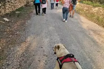 Landhotel Rural Jordà