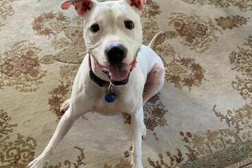 Grand Colonial Bed And Breakfast