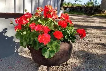 ベッドアンドブレックファースト Moshults Vandrarhem