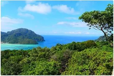 Hotel Phi Phi Bonita Resort