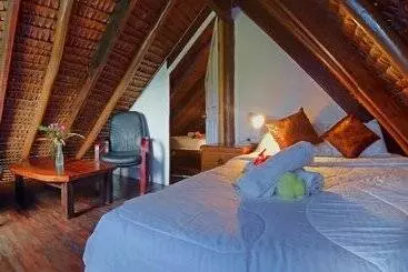 پانسیون Treetops Lodge