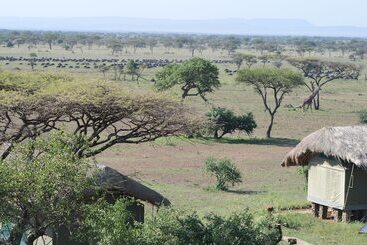 Hotel Grumeti Migration Camp