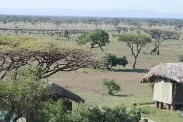 هتل Grumeti Migration Camp