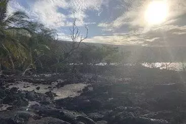 Maaseutuhotelli Gingerhill Farm Retreat