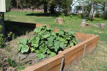 مسافرخانه Alaska Dreamin Lodging