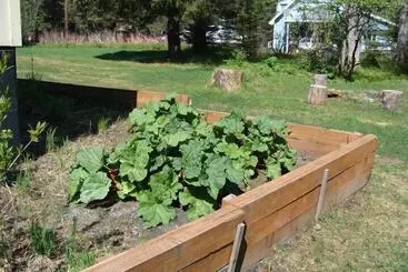 Hostelli Alaska Dreamin  Lodging