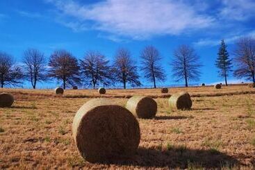 בית מלון כפרי Amazian Mountain River Lodge