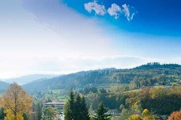 Hotel Rezydencja Izabella