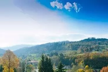 Hotelli Rezydencja Izabella