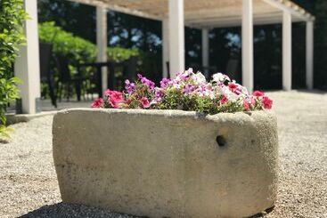 בית מלון כפרי Agriturismo Serafina