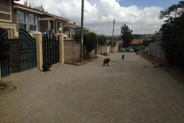 Chester View Homestay   Hostel