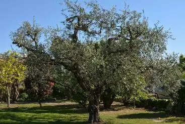 Hostelli Parc Hotel Casa Mia