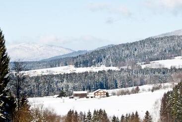 Apart Hotel Pension Schuasterhof
