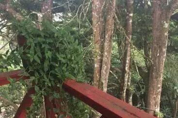 Bed & Breakfast Pousada Hospedaria Alecrim