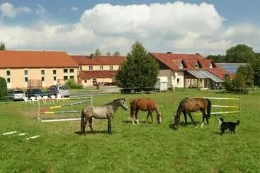 ツーリストアパートメント Pension Lindenhof Drabsch