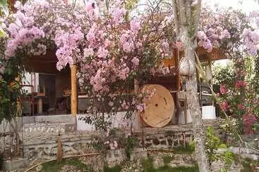 Hotelli Bougainvillea Paradise Campground