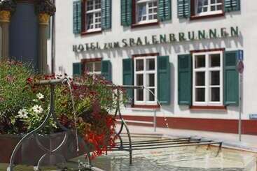 Spalenbrunnen Hotel & Restaurant Basel City Center