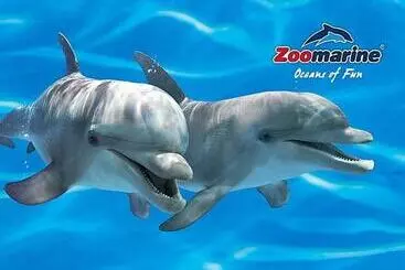 Bed and Breakfast Casa Dos Ninos