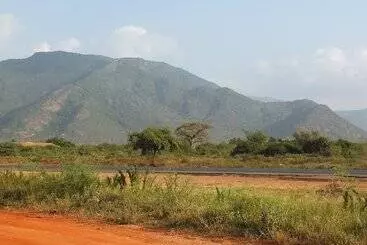 Bed and Breakfast Afrika Lodges