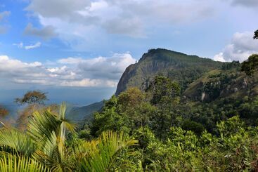 Bed and Breakfast Ever Green Mount