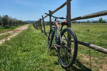 Kır Oteli Agriturismo Tesorino