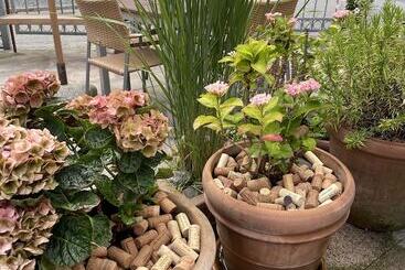 בית מלון כפרי Stephansens