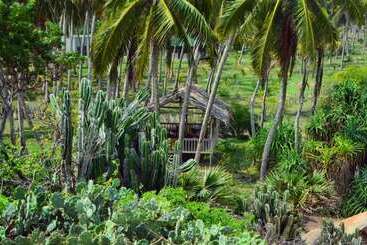 דירות לתיירים Redhill Yala