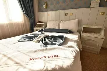 Hotel Kozan