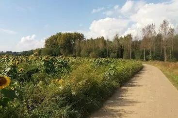 Bed & Breakfast De Vrijheerlyckheid