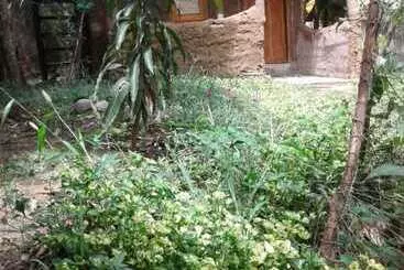 Bed and Breakfast Green Leaf Cabanas