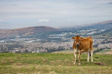 Hotell Hostería Loma Larga Cayambe