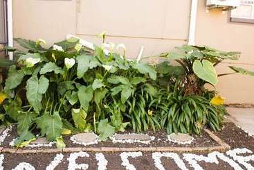 فندق Lilitha Guest Lodge & Conferencing