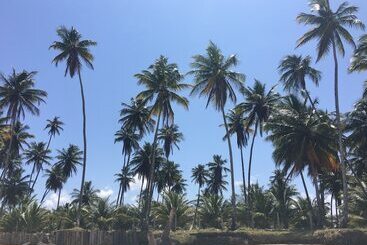 ホテル Pousada Aroeira Eco