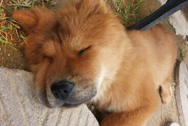 پانسیون Dowon Guesthouse