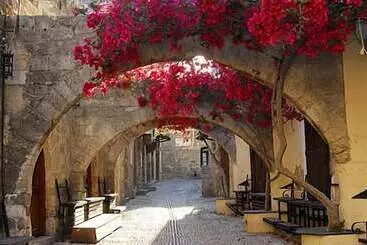 アパートメント Petrino