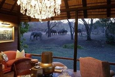 בית מלון כפרי Camp Ndlovu