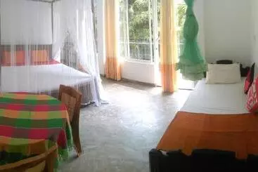 Pensió Aluthgedara Guest House