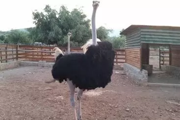 Appartements touristiques Anthidon Estate