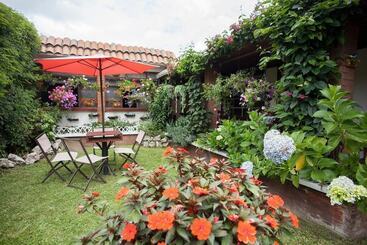 Casa Chapultepec   Hostel