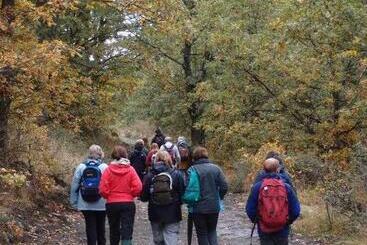 Сельский дом Agroturismo El Mirador De La Cigüeña